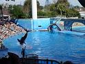 Sea World-112